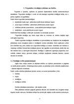 Referāts 'Uzņēmuma tirgzinības stratēģijas izvēle', 4.