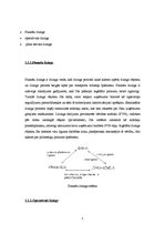 Referāts 'Līzings', 3.