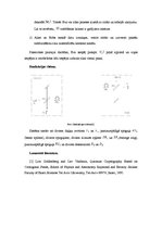 Paraugs 'Goldenberga-Vaidmana protokols', 2.