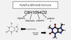 Prezentācija 'Kofeīns', 4.
