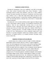 Referāts 'Asinsrade', 1.