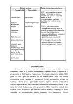 Referāts 'Asinsrade', 5.