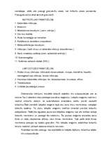 Referāts 'Asinsrade', 11.