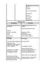 Referāts 'Asinsrade', 13.