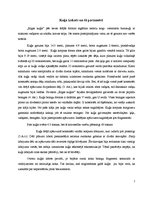 Referāts 'Rīgas kuģis', 2.