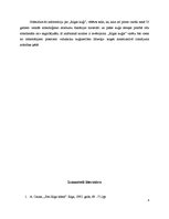 Referāts 'Rīgas kuģis', 6.