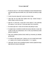 Referāts 'Rīgas kuģis', 8.