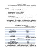 Prakses atskaite 'Tūrisma ziņu portāls "Baltictravelnews"', 17.