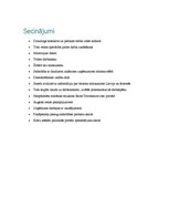 Prakses atskaite 'Tūrisma ziņu portāls "Baltictravelnews"', 20.