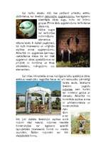 Referāts 'Dārza svētki', 3.