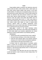 Referāts '"Seši Sigma" - metodoloģija mūsdienu uzņēmuma darbībā', 4.