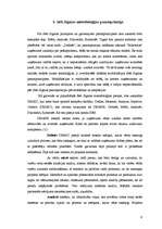 Referāts '"Seši Sigma" - metodoloģija mūsdienu uzņēmuma darbībā', 9.