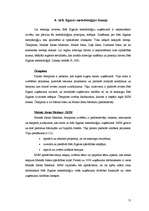 Referāts '"Seši Sigma" - metodoloģija mūsdienu uzņēmuma darbībā', 11.