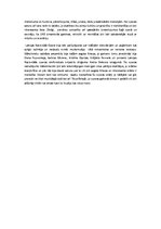 Eseja 'Recenzija par DžakomoPučīni operu "Turandota"', 2.