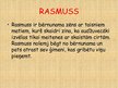 Prezentācija 'Astrida Lindgrēne "Rasmuss - klaidonis"', 3.