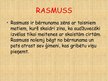 Prezentācija 'Astrida Lindgrēne "Rasmuss - klaidonis"', 3.