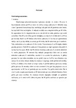 Referāts 'Sociālo prasmju analīze', 6.