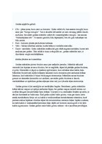 Prezentācija 'Senās Japānas tērpi', 9.