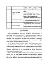 Referāts 'Kravas pārvadājumu plānošana no vairumtirgotāja pie mazumtirgotāja', 14.