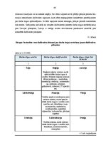 Diplomdarbs 'Latvijas darba tirgus pirms un pēc pievienošanās Eiropas Savienībai', 62.