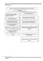 Diplomdarbs 'Medicīniska rakstura piespiedu līdzekļu piemērošanas noregulējums Latvijas Repub', 49.