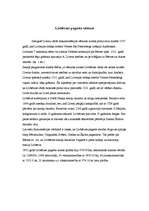 Referāts 'Jauna tūrisma produkta projekts lokālai teritorijai Latvijā', 3.