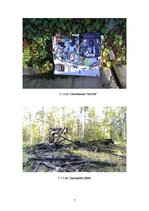 Referāts 'Kursa darbs "Zaļās patruļas"', 7.