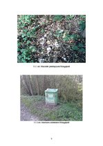 Referāts 'Kursa darbs "Zaļās patruļas"', 9.