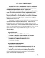 Referāts 'Kredītu politika un to uzskaite komercbankās', 11.