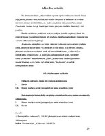 Referāts 'Kredītu politika un to uzskaite komercbankās', 20.