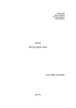 Referāts 'Ķīmija manā skolas somā', 1.