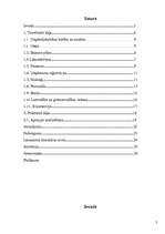 Referāts 'Kā uzsākt savu biznesu?', 2.