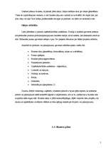 Referāts 'Kā uzsākt savu biznesu?', 5.