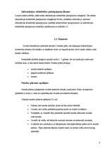 Referāts 'Kā uzsākt savu biznesu?', 9.