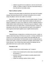 Referāts 'Kā uzsākt savu biznesu?', 10.