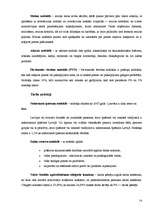 Referāts 'Kā uzsākt savu biznesu?', 14.