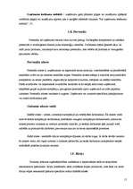 Referāts 'Kā uzsākt savu biznesu?', 15.