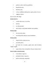 Referāts 'Profesionālā izdegšana SIA "X"', 9.