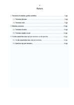 Referāts 'Terorisms un tā izpausme', 4.