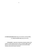 Referāts 'Terorisms un tā izpausme', 15.