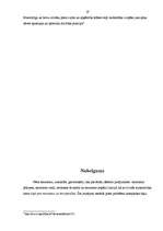 Referāts 'Terorisms un tā izpausme', 19.