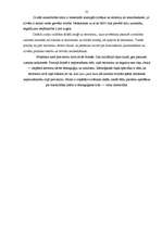 Referāts 'Terorisms un tā izpausme', 21.