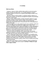 Referāts 'Civilā aizsardzība', 10.