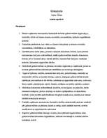 Referāts 'Tūrisma aģentūras darbība, vakance, štatu saraksts', 8.