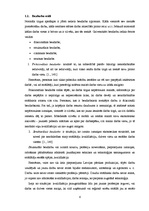 Referāts 'Bezdarba rādītāju analīze Latvijā', 6.