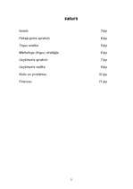 Biznesa plāns 'Jauniešu atpūtas centrs "Rio"', 2.