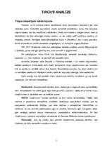 Biznesa plāns 'Jauniešu atpūtas centrs "Rio"', 5.