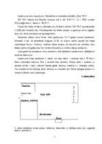 Biznesa plāns 'Jauniešu atpūtas centrs "Rio"', 7.