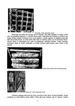 Referāts 'Senlatviešu kultūra', 3.