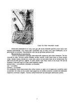 Referāts 'Senlatviešu kultūra', 5.